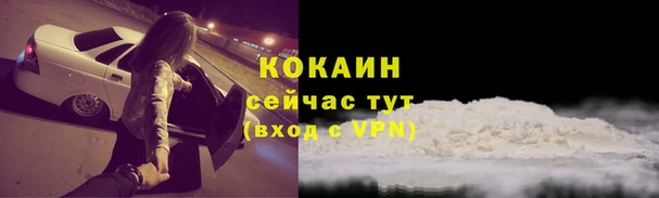 дмт Осташков
