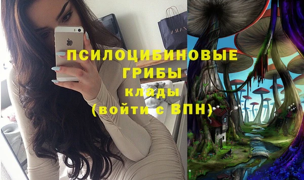 mdma Осинники