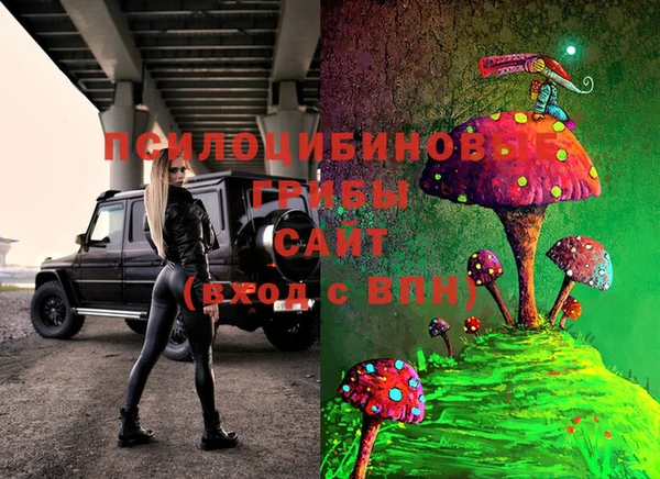 дмт Осташков
