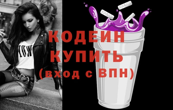 дмт Осташков