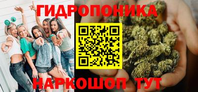 шишки Азнакаево