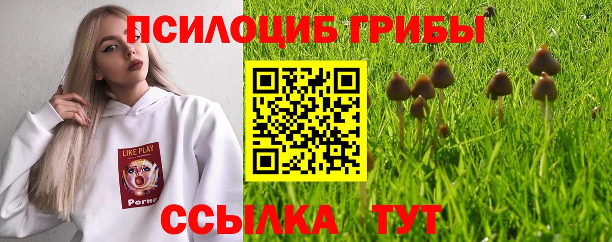 Новомосковск  Псилоцибиновые грибы Magic Shrooms  Вход с VPN 